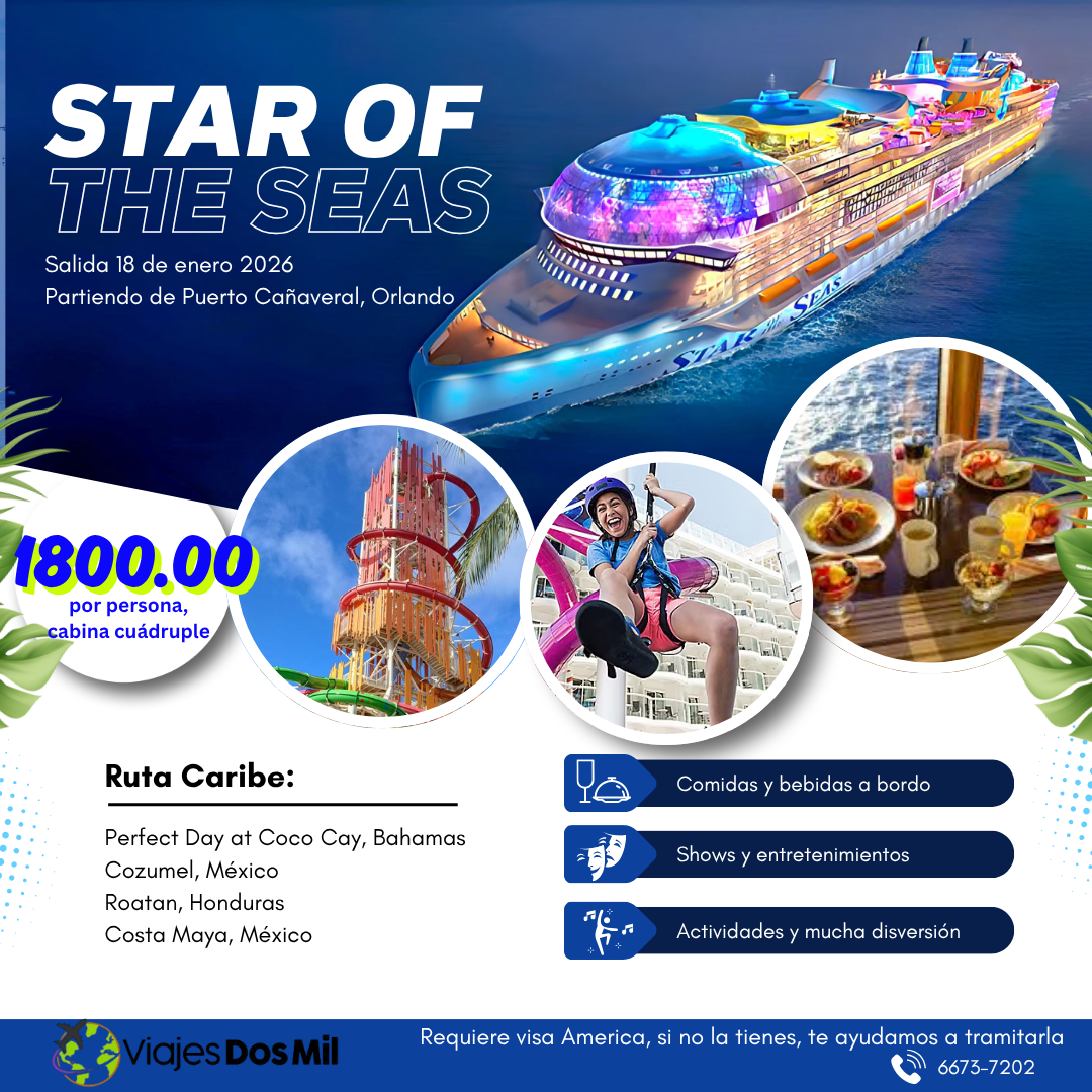 Flyer 11